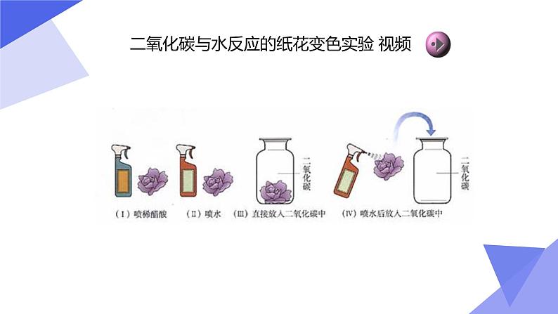 人教版（五四制）八年级全一册化学 第六单元 课题3 二氧化碳和一氧化碳 (2)（课件）第6页