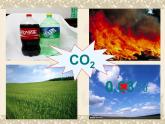 人教版（五四制）八年级全一册化学 第六单元 课题2 二氧化碳制取的研究（课件）