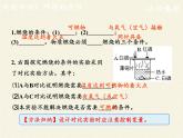 人教版（五四制）八年级全一册化学 第七单元  实验活动3 燃烧的条件(1)（课件）
