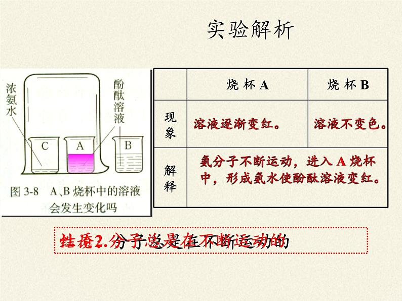 人教版（五四制）八年级全一册化学 第三单元 课题1 分子和原子 (2)（课件）第8页