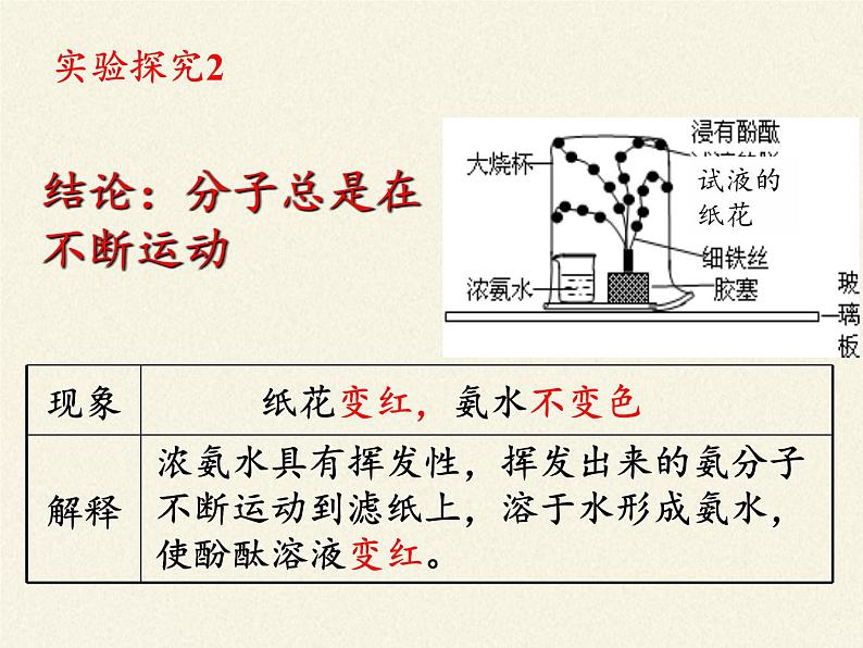 人教版（五四制）八年级全一册化学 第三单元 课题1 分子和原子(3)（课件）第8页