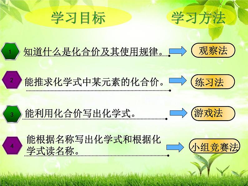 人教版（五四制）八年级全一册化学 第四单元 课题4 化学式与化合价（第二课时）（课件）02