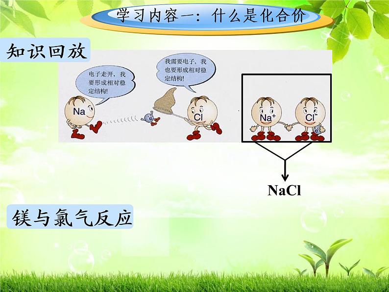 人教版（五四制）八年级全一册化学 第四单元 课题4 化学式与化合价（第二课时）（课件）03