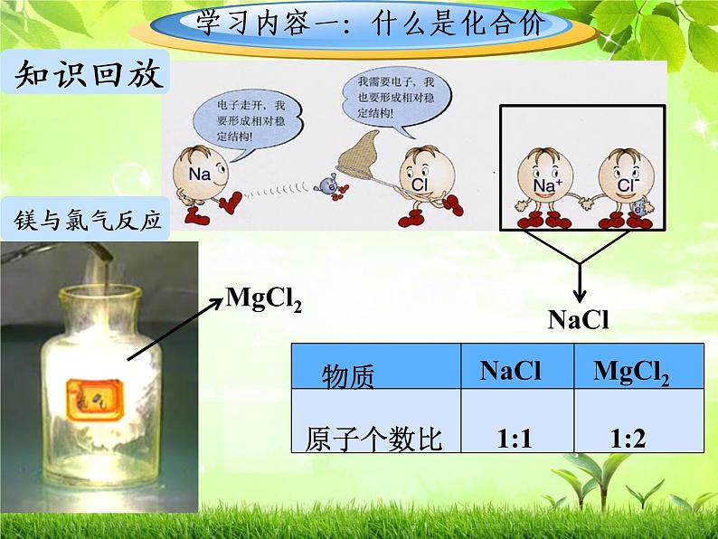 人教版（五四制）八年级全一册化学 第四单元 课题4 化学式与化合价（第二课时）（课件）05