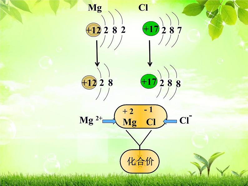 人教版（五四制）八年级全一册化学 第四单元 课题4 化学式与化合价（第二课时）（课件）06