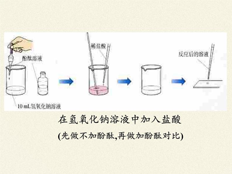 人教版（五四制）九年级全一册化学 第三单元 课题2 酸和碱的中和反应（课件）03