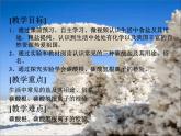 人教版（五四制）九年级全一册化学 第四单元 课题1 生活中常见的盐（课件）