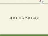人教版（五四制）九年级全一册化学 第四单元 课题1  生活中常见的盐(3)（课件）