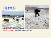 人教版（五四制）九年级全一册化学 第四单元 课题1  生活中常见的盐(3)（课件）