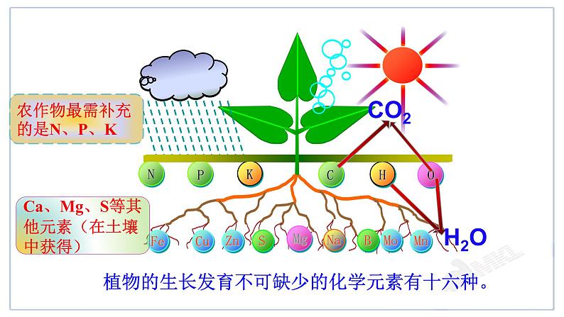 人教版（五四制）九年级全一册化学 第四单元 课题2 化学肥料 (2)（课件）05