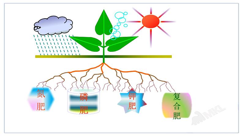 人教版（五四制）九年级全一册化学 第四单元 课题2 化学肥料 (2)（课件）06