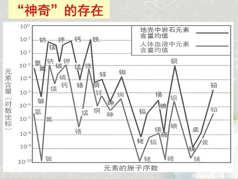 人教版（五四制）九年级全一册化学 第五单元 课题2  化学元素与人体健康（课件）第6页