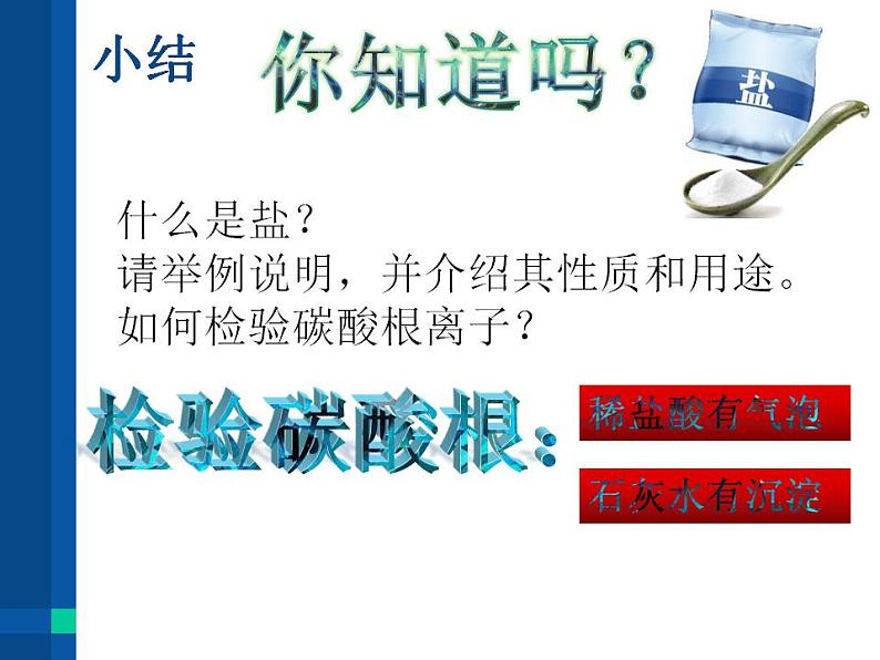 人教版（五四制）九年级全一册化学 第四单元 课题1 生活中常见的盐（课件）06
