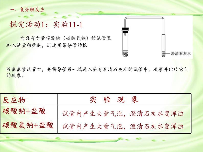 人教版（五四制）九年级全一册化学 第四单元 课题1 生活中常见的盐(2)（课件）05