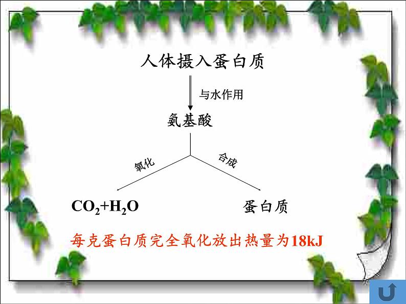 人教版（五四制）九年级全一册化学 第五单元 课题1 人类重要的营养物质(4)（课件）第6页