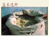 人教版（五四制）九年级全一册化学 实验活动2 一定溶质质量分数的氯化钠溶液的配制 (2)（课件）