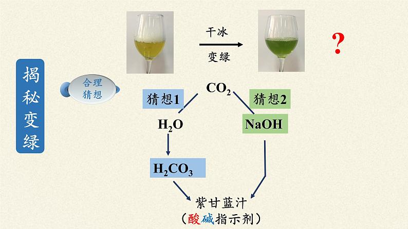 人教版（五四制）九年级全一册化学 实验活动4  溶液酸碱性的检验（课件）05