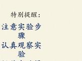 人教版（五四制）九年级全一册化学 实验活动3  酸、碱的化学性质 (2)（课件）