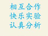 人教版（五四制）九年级全一册化学 实验活动3  酸、碱的化学性质 (2)（课件）