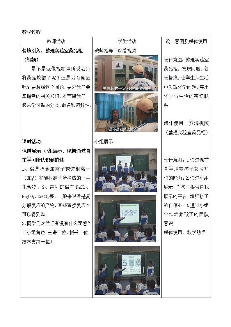 鲁教版（五四制）九年级全一册 3.3  盐的分类、命名、溶解性（教案）第3页