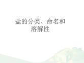 魯教版（五四制）化學(xué)九年級全一冊 3.3  鹽的分類、命名和溶解性（課件）