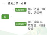 魯教版（五四制）化學(xué)九年級全一冊 3.3  鹽的分類、命名和溶解性（課件）