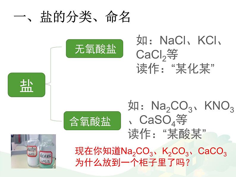 鲁教版（五四制）化学九年级全一册 3.3  盐的分类、命名和溶解性（课件）第6页