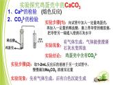 人教版（五四制）九年级全一册化学 第四单元  盐的化学性质复习（课件）