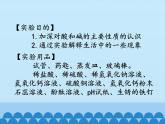 人教版（五四制）九年级全一册化学第三单元 实验活动3 酸和碱的化学性质（课件）