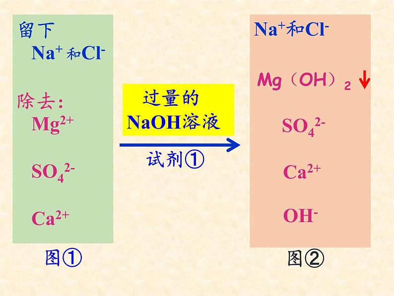 人教版（五四制）九年级全一册化学 实验活动5 粗盐中难溶性杂质的去除(1)（课件）第6页