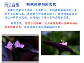 人教版（五四制）九年级全一册化学 第三单元 酸碱指示剂的秘密（课件）