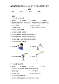 山东省菏泽市巨野县2021-2022学年八年级上学期期中化学试题（word版 含答案）