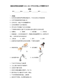 湖南省常德市鼎城区2021-2022学年九年级上学期期中化学试题（word版 含答案）