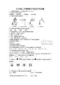 河南省漯河市2021-2022学年九年级上学期期中考试化学试题（word版 含答案）