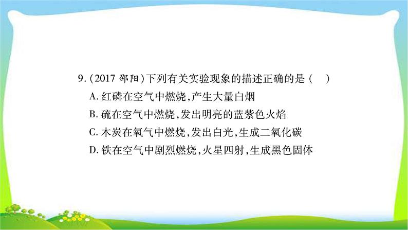 中考化学复习第二章常见的物质课件PPT第8页