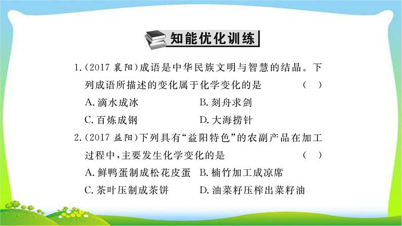 中考化学复习第一章化学基本概念和原理课件PPT第2页