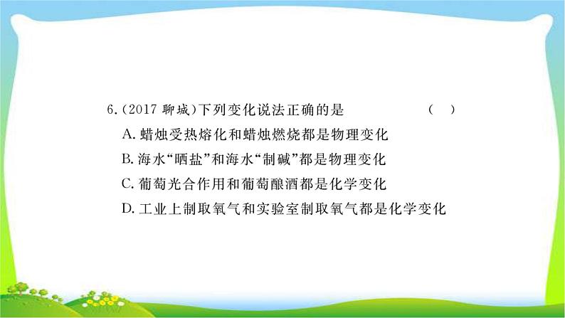 中考化学复习第一章化学基本概念和原理课件PPT第5页