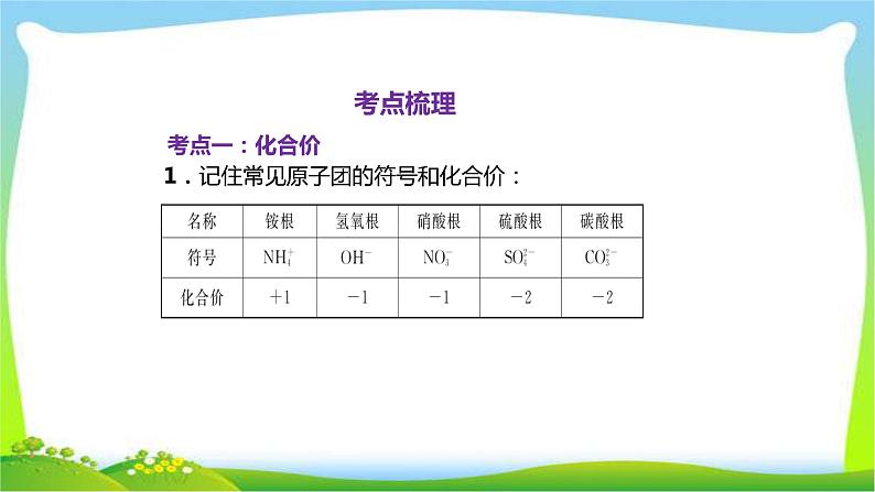 中考化学总复习11节化合价化学式化学方程式化学反应基本类型和物质的变化与性质催化剂课件PPT第1页