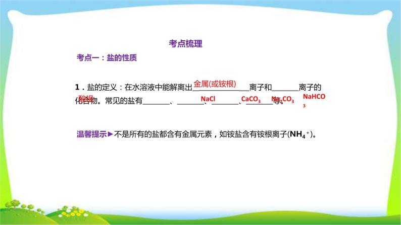 中考化学总复习第7节常见的盐和化肥课件PPT01