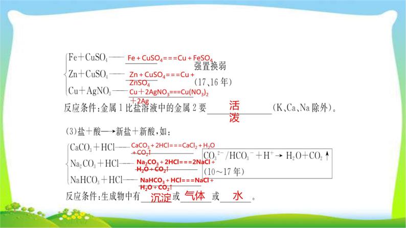 中考化学总复习第7节常见的盐和化肥课件PPT04