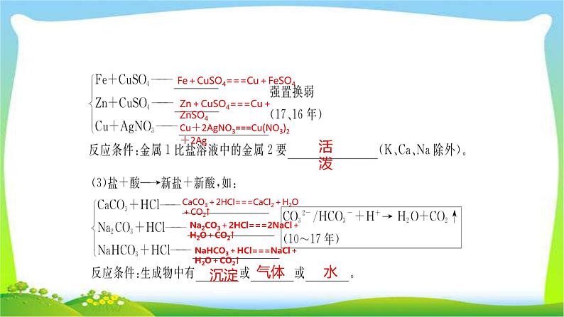 中考化学总复习第7节常见的盐和化肥课件PPT04