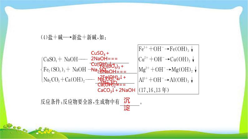 中考化学总复习第7节常见的盐和化肥课件PPT05