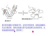 远离有毒物质课件PPT