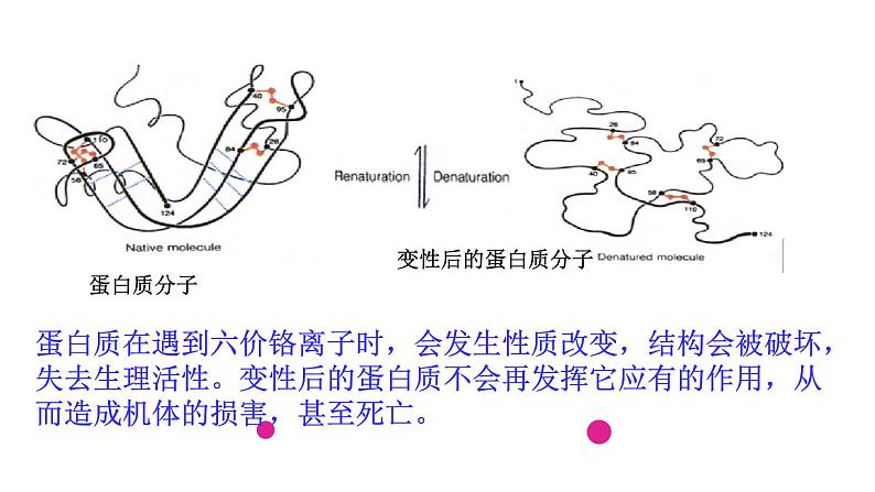 远离有毒物质课件PPT04