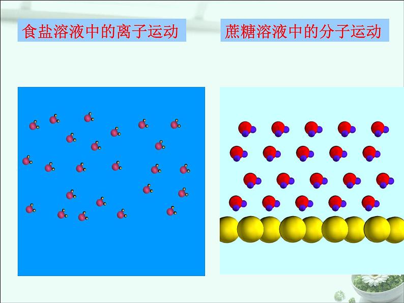 课题1-溶液的形成课件05