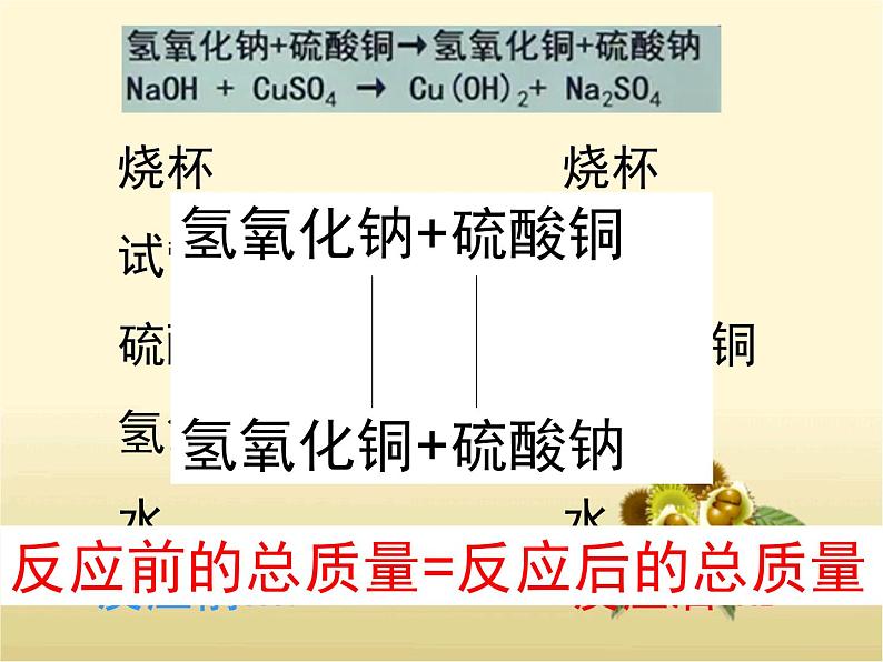 化学反应中的质量守恒课件PPT第8页