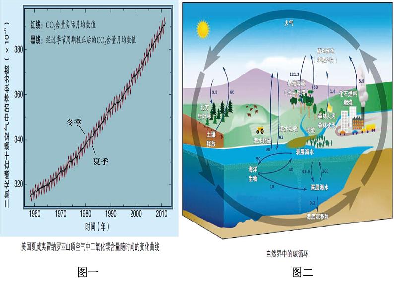 大自然中的二氧化碳（1课时）课件PPT第4页