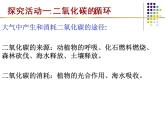 大自然中的二氧化碳（1課時）課件PPT