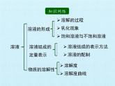 鲁教版（五四制）化学九年级全一册 第一单元 溶液 复习（课件）