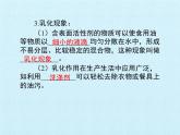 鲁教版（五四制）化学九年级全一册 第一单元 溶液 复习（课件）